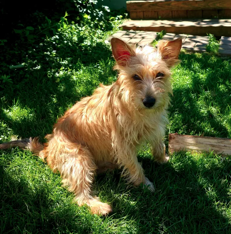 Max image 2