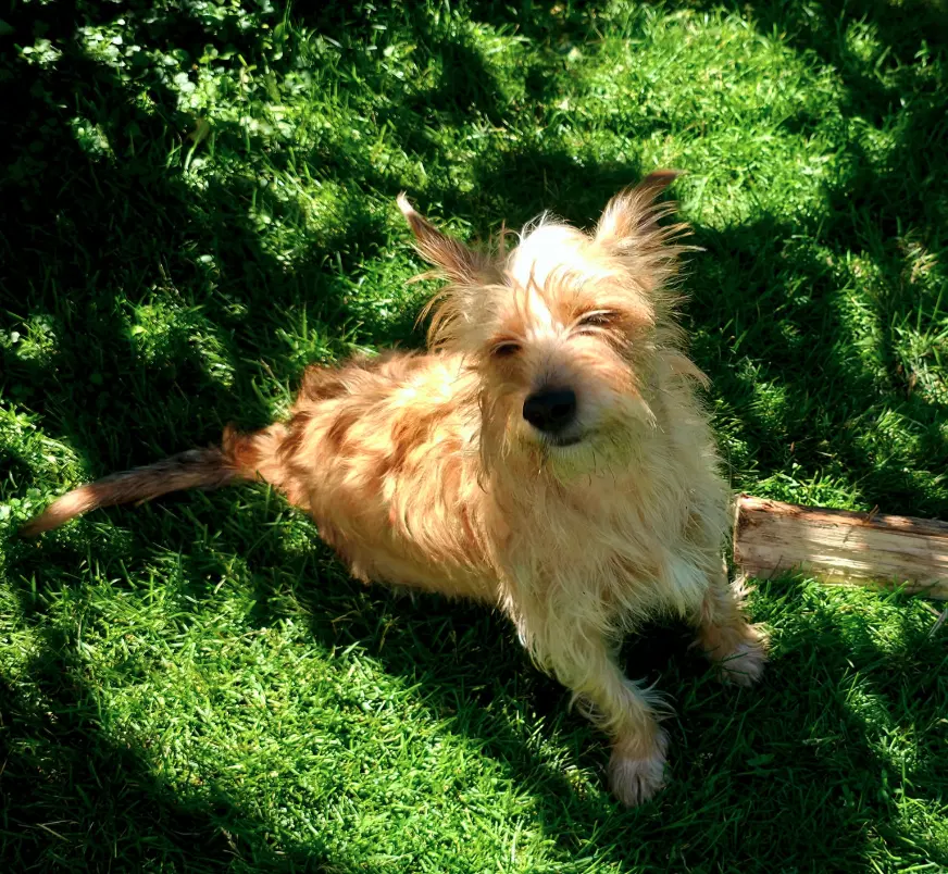 Max image 3