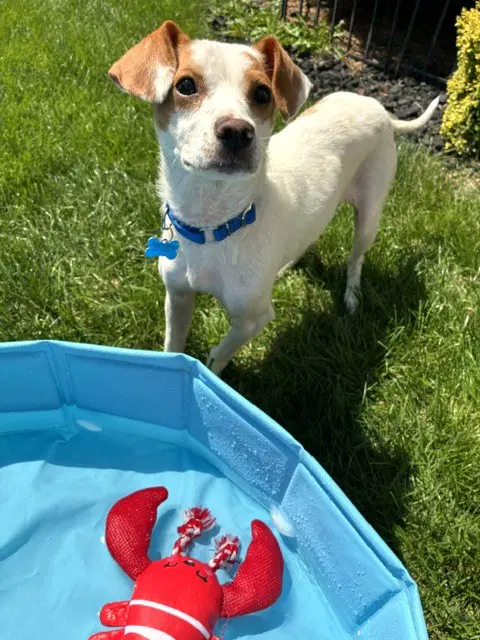 Buddy image 3