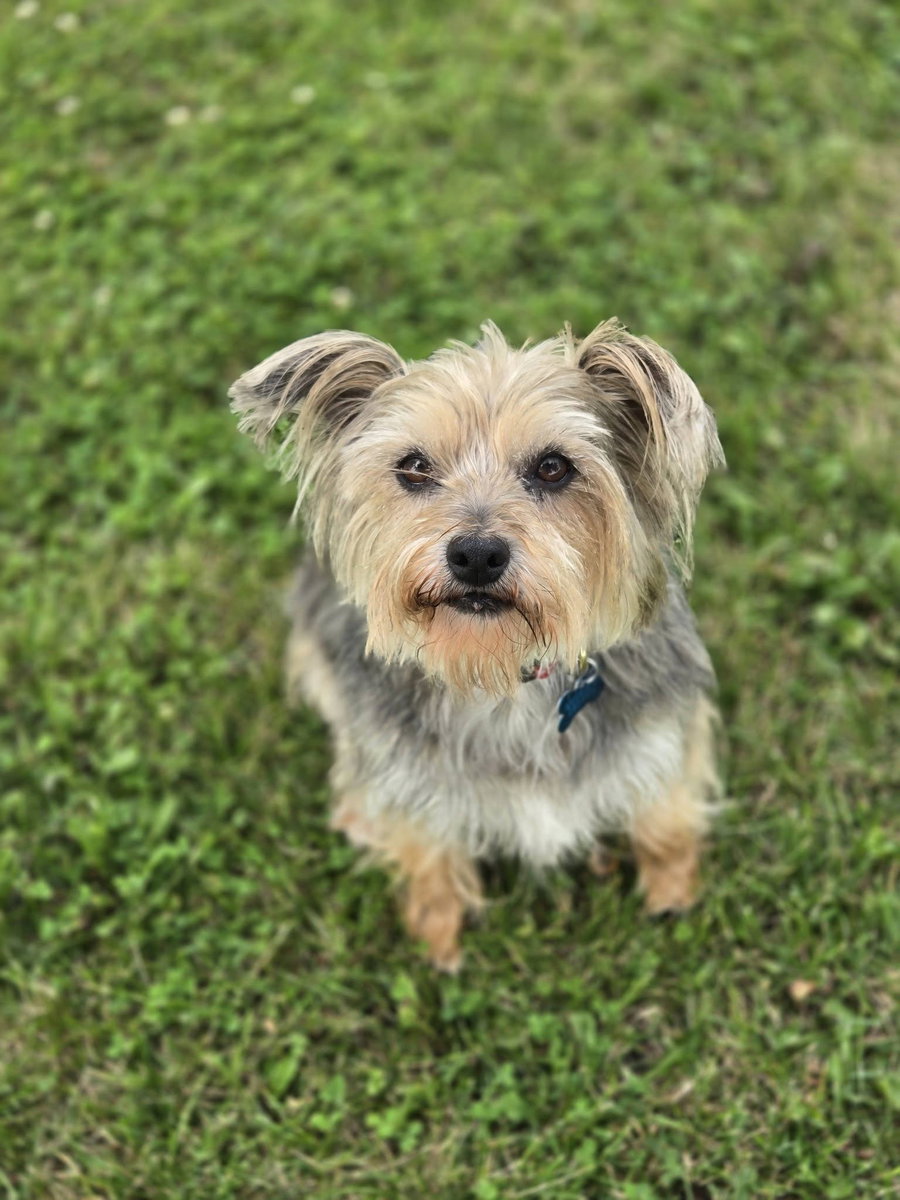 Molly