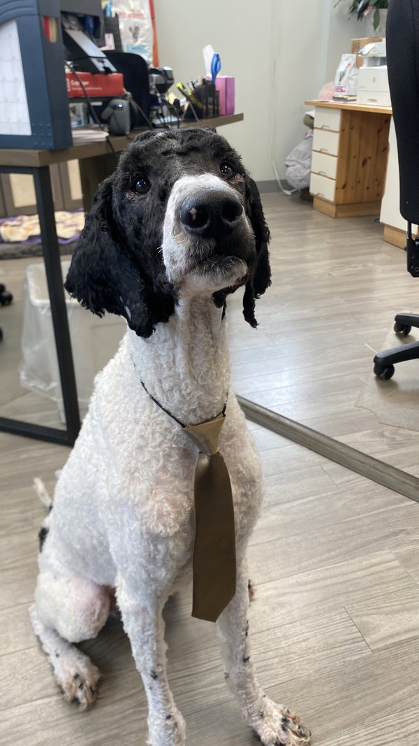 Max