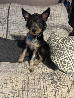 Ella