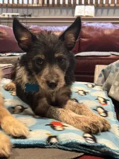 Ella image 2