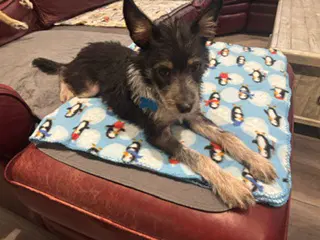 Ella image 3