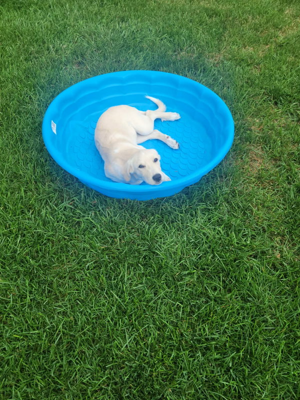 Ella Mae