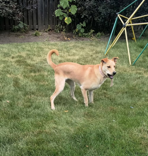 Maggie photo 1