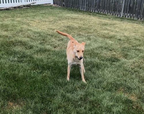 Maggie photo 2