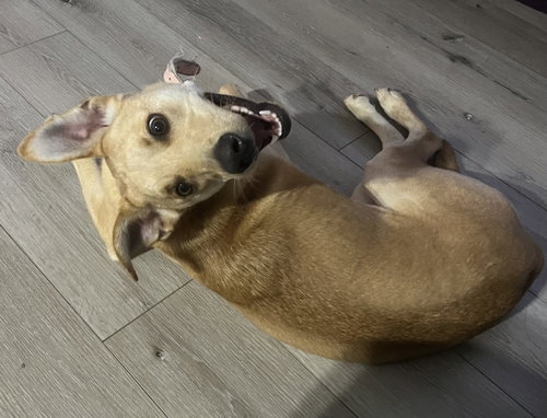 Maggie photo 5