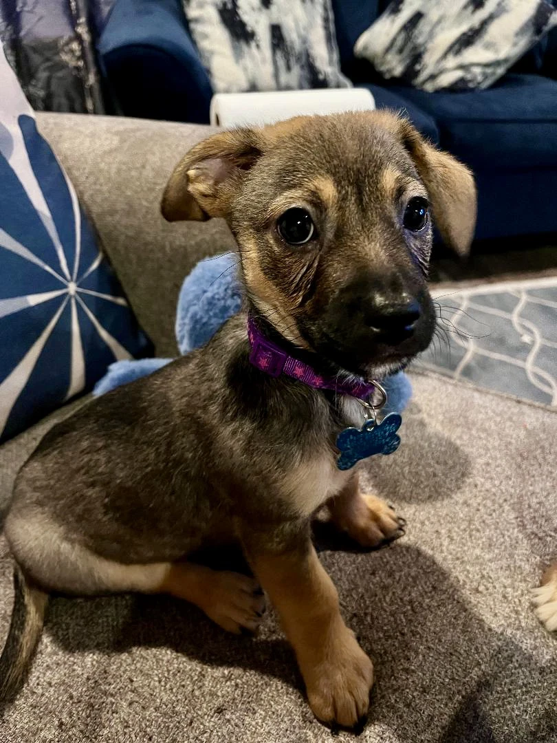 Benny
