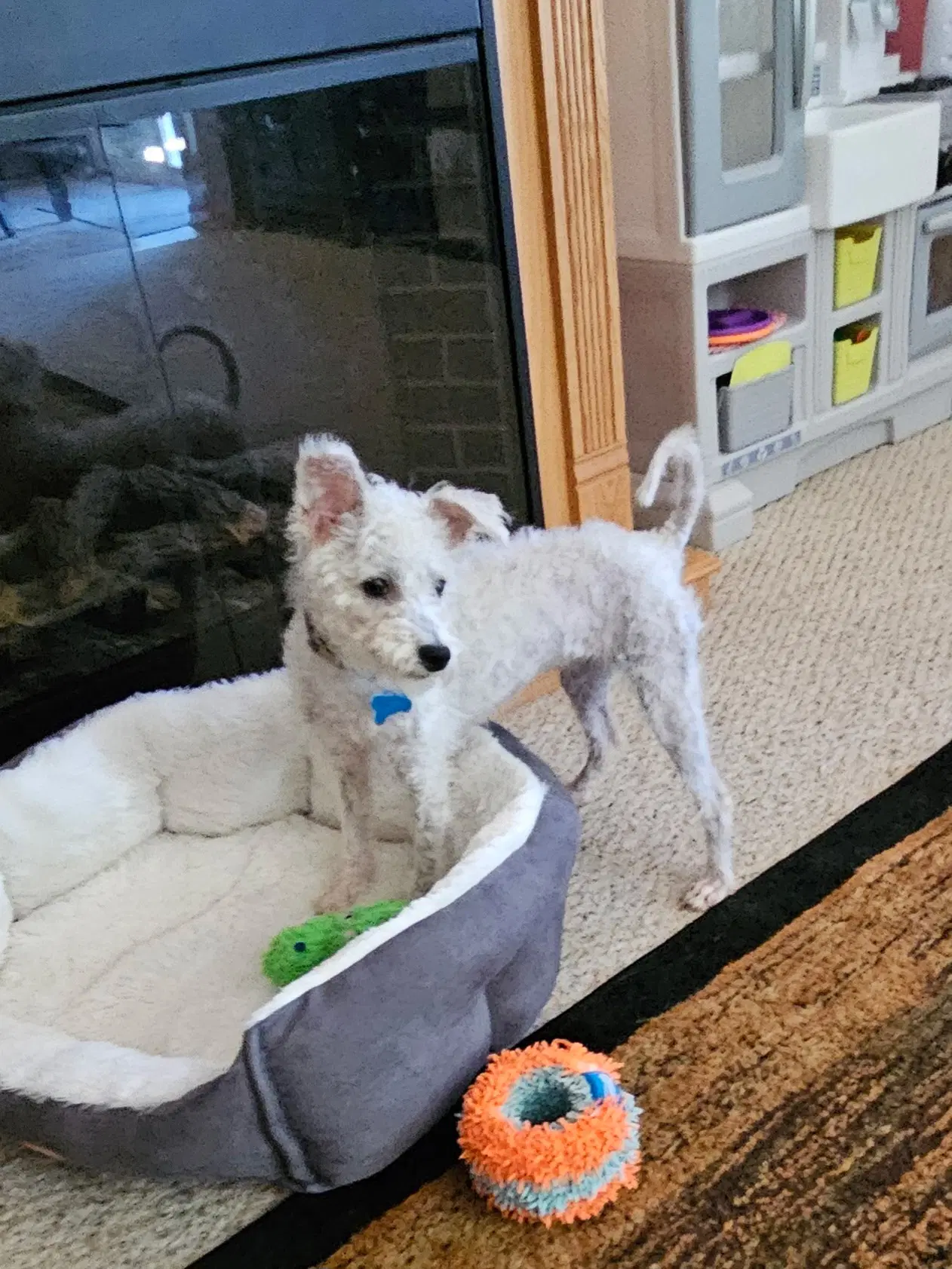 Darla image 3