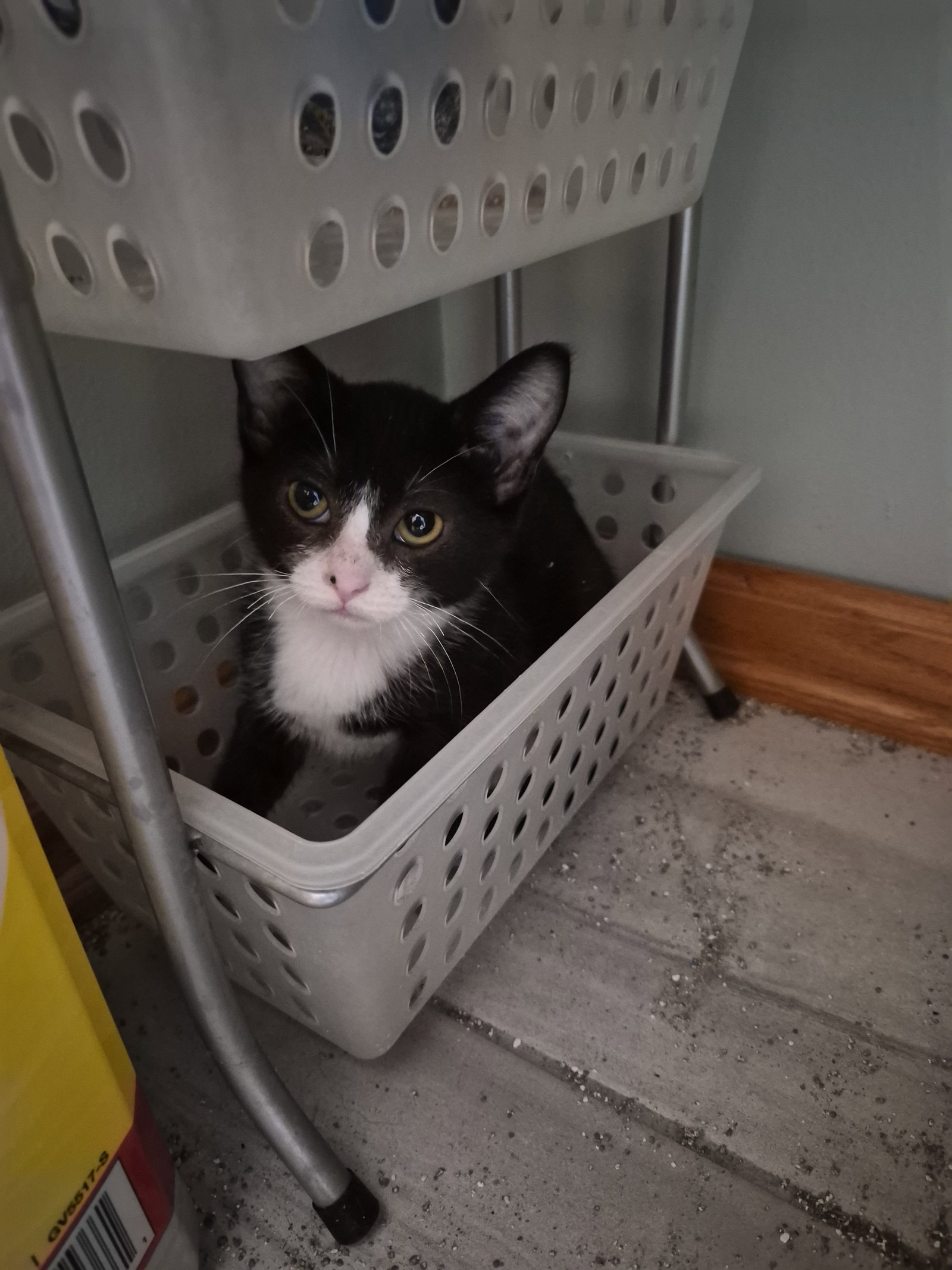 Tux