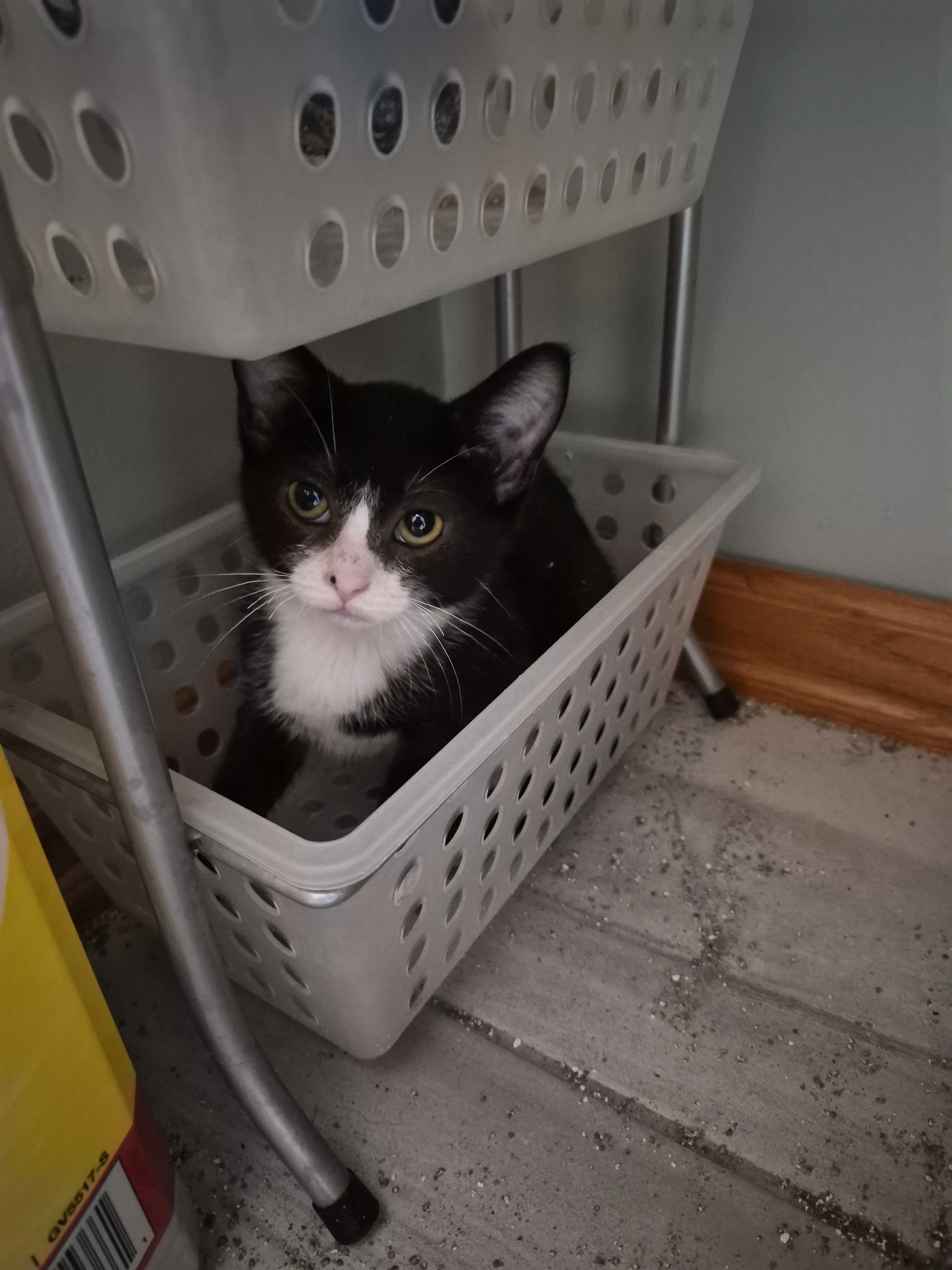 Tux
