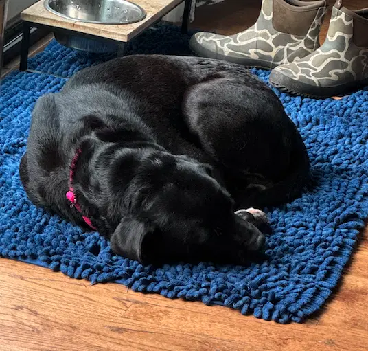 Fiona image 3