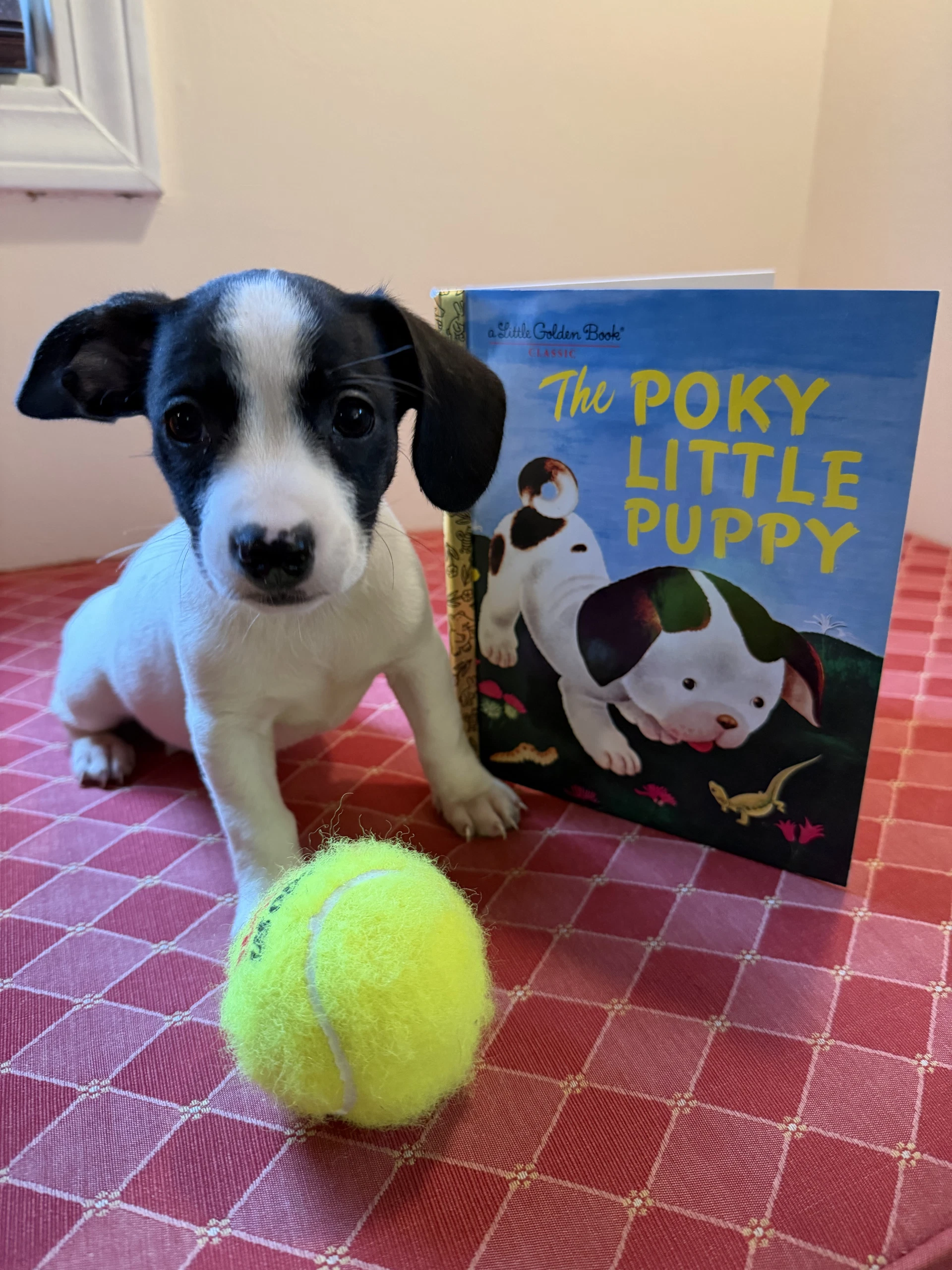 Drake