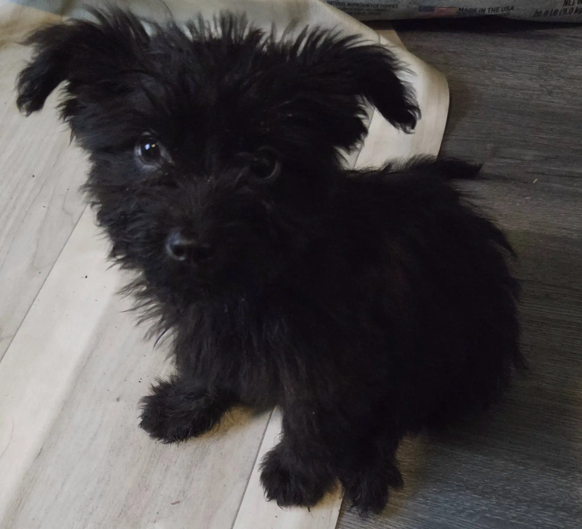 Stanley image 2