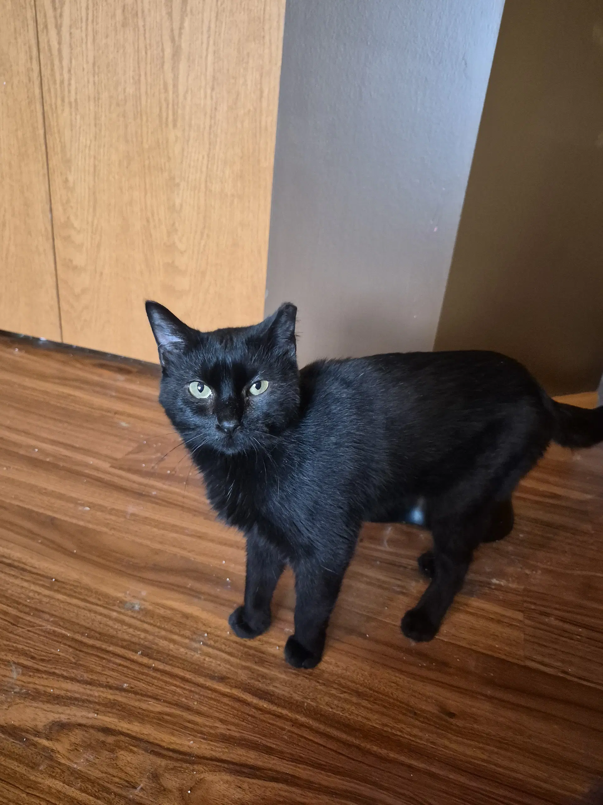 Bitty image 2