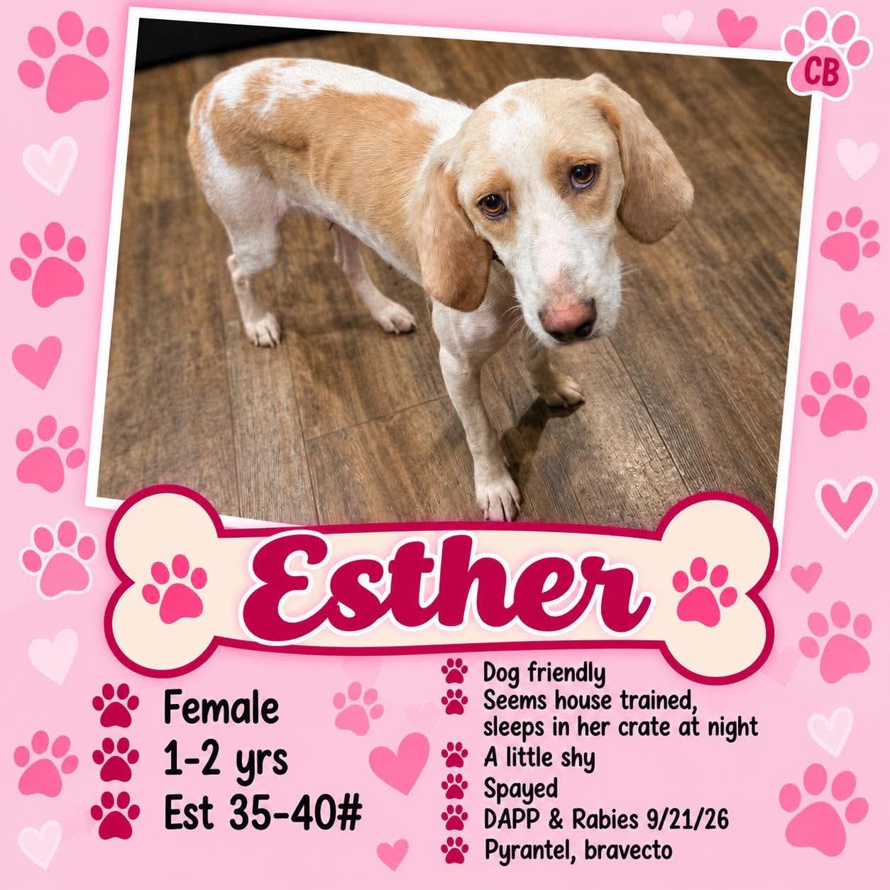 Esther
