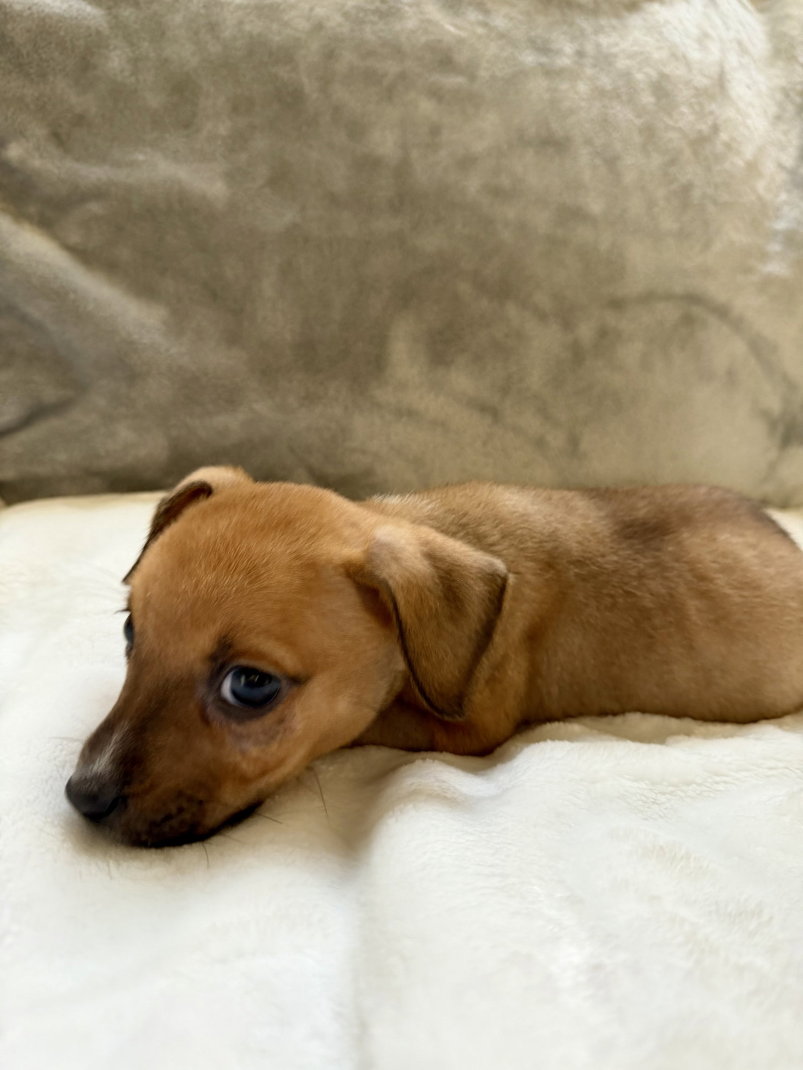 Bonnie, photo 4
