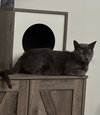 Happy Hazel - Photo 1