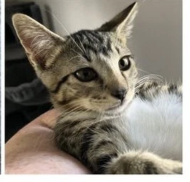 Purry