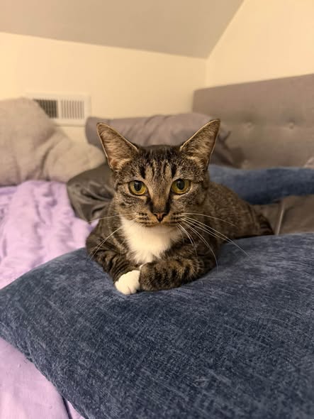 Miss Freya