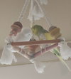 Spring and Snowball - Photo 2