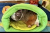 Mimi - Photo 1