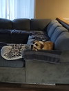 Bingo - Photo 3