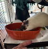 George and Lenny - Photo 3