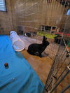 Louis Bunnington - Photo 4