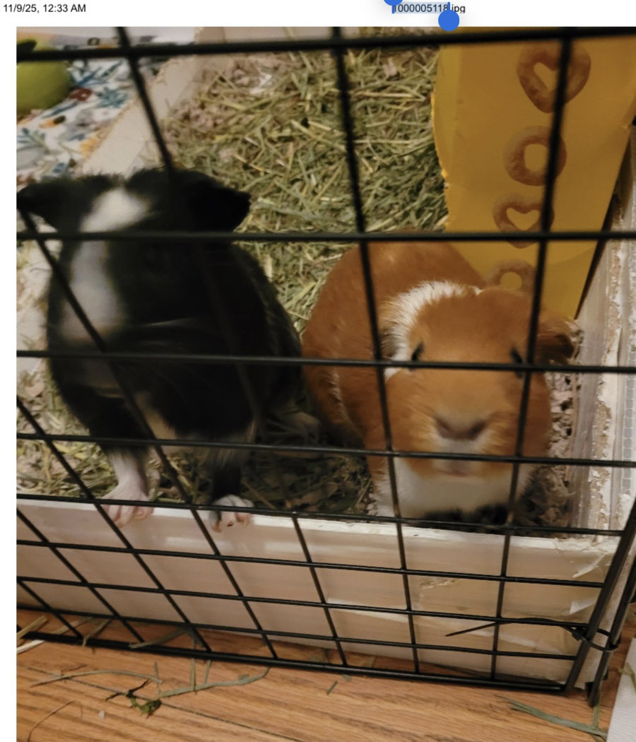 Huck and Finn Image