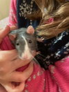 Winnie and Coco - Photo 3