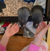 Winnie and Coco - Photo 5