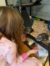 Winnie and Coco - Photo 6