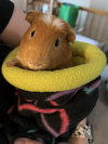 Butters - Photo 1