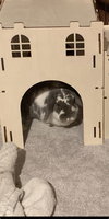 Ricotta - Photo 3