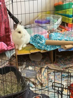 Photo 6 of Bo