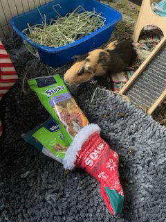 Photo 3 of Carl