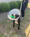 Odin - Photo 2