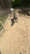 Cash - Photo 14