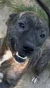 Cash - Photo 1