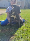 Cash - Photo 7