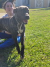 Cash - Photo 4