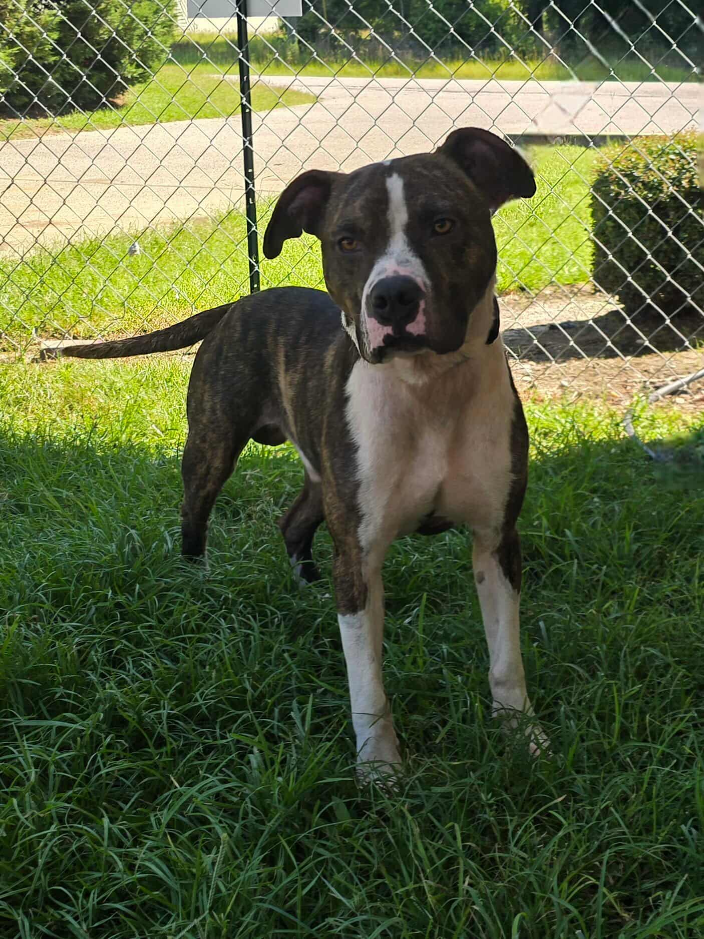 Riley image 2