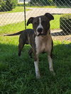 Riley - Photo 2