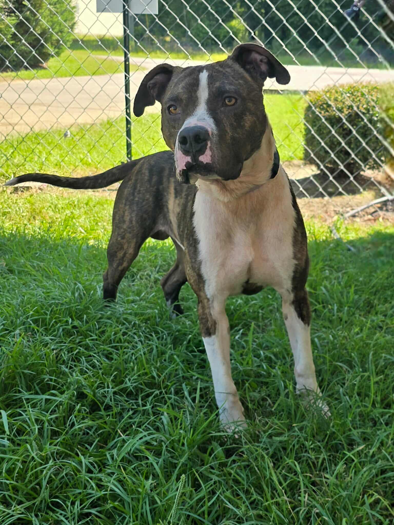 Riley image 4