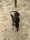 Bugs - Photo 7
