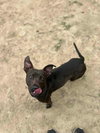 Bugs - Photo 3