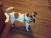 Buster