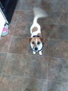 Buster